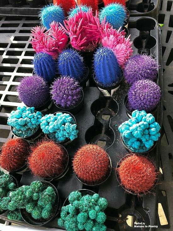 colourful