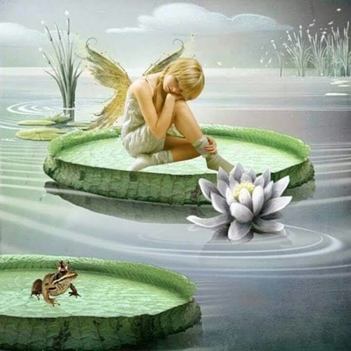 fairy