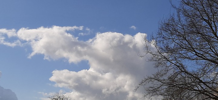 dragon cloud