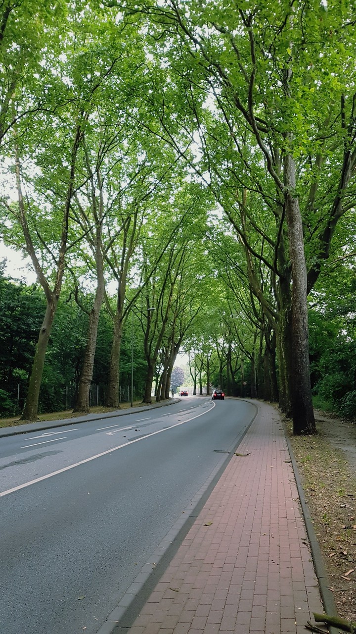Straße