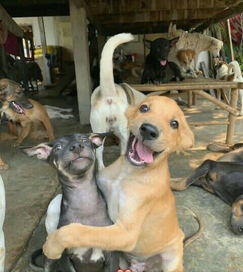 Best friends.