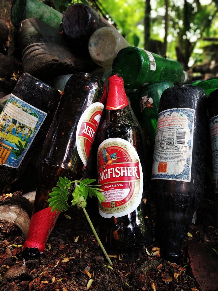 beer bottles