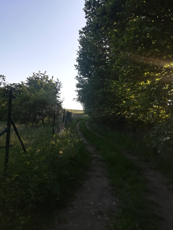 Way home