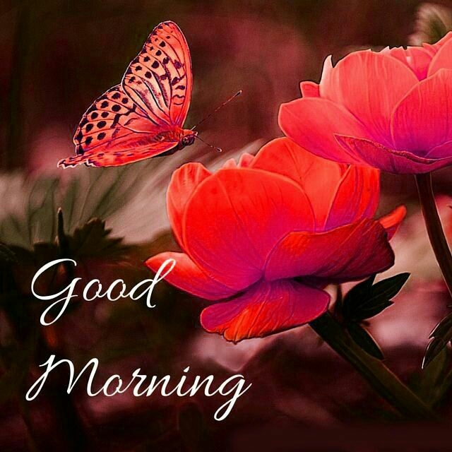 good morning!