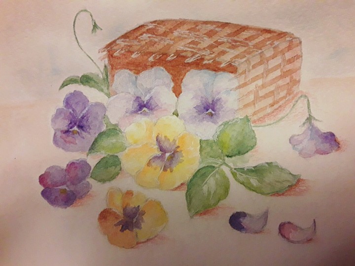 violets