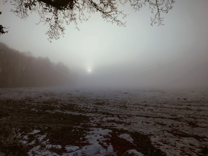 Nebeliger Winter
