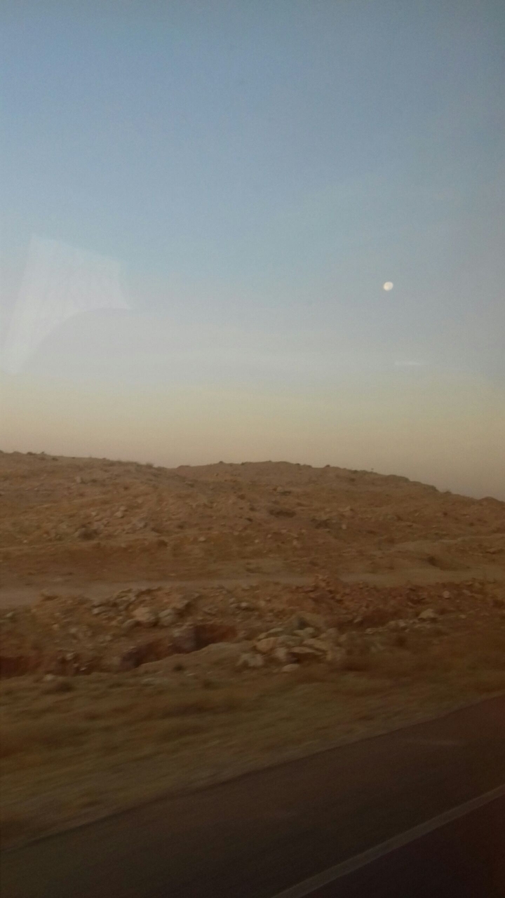 منظره