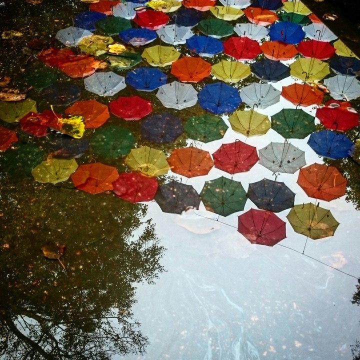 umbrella