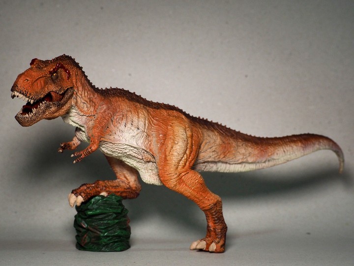 tyrannosaurus