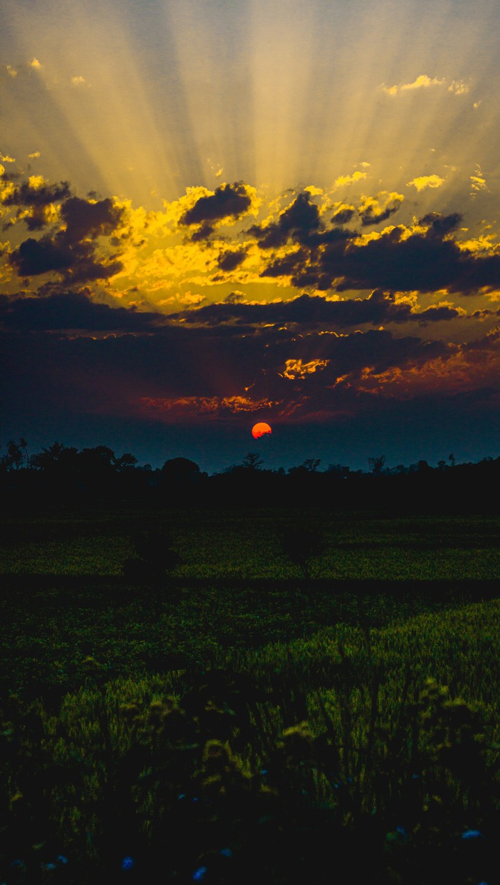 Beautiful sunset