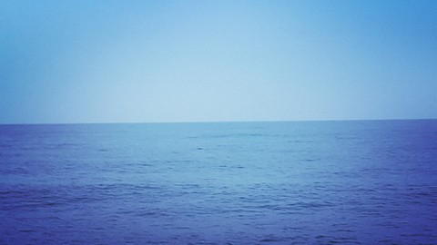 물반 바다반
