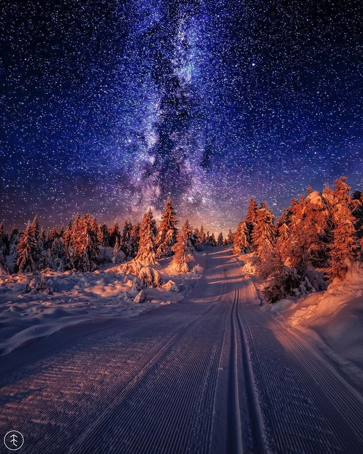 stars