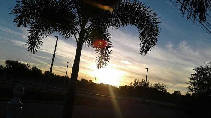 Beautiful morning