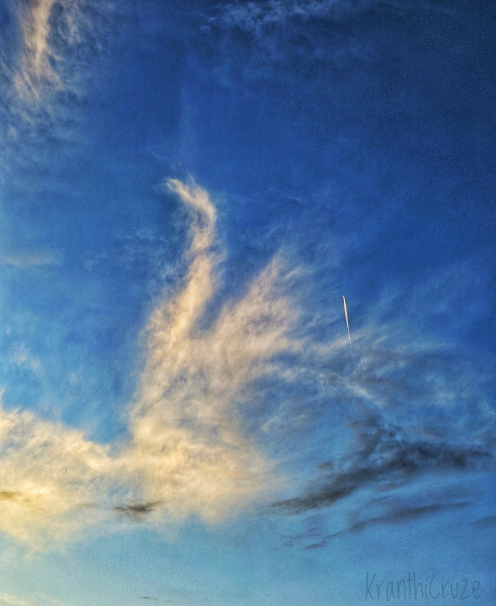 Swan in the sky n fly High with plane