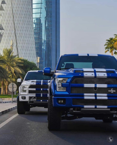 shelby