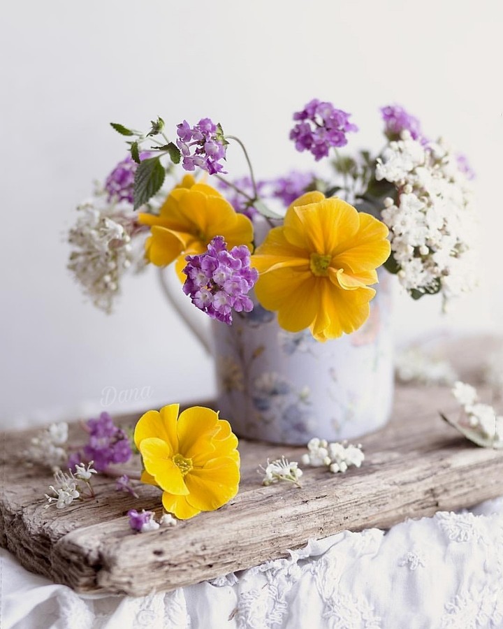 Still-life