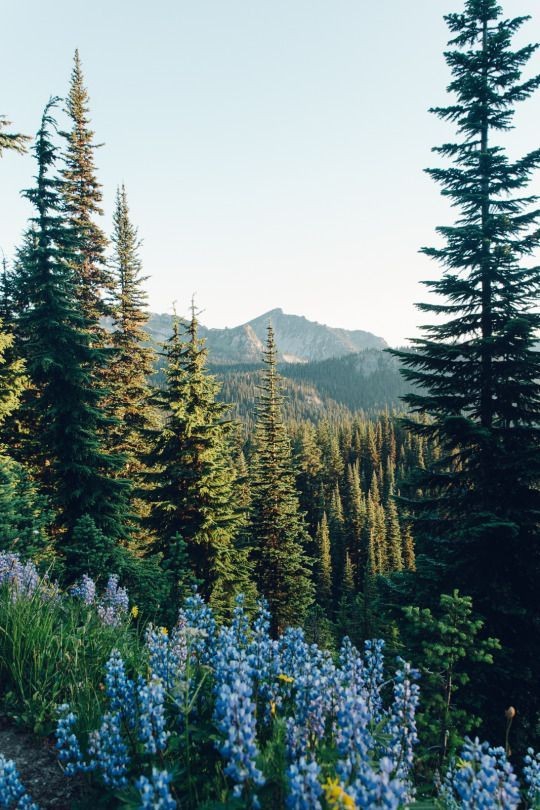 Nature