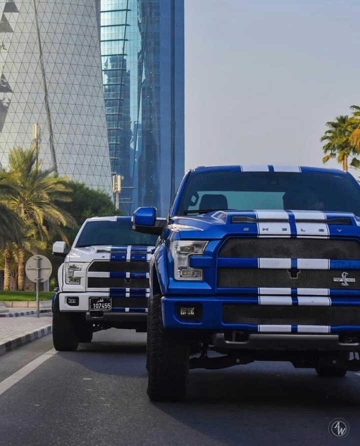 shelby