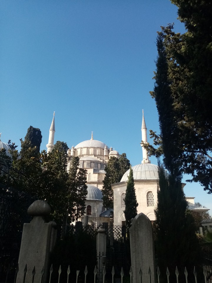 ölüm ölmüyor...