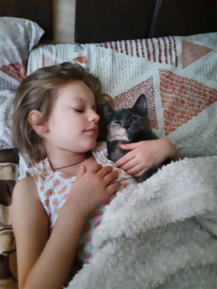 Дитёныш и кошка