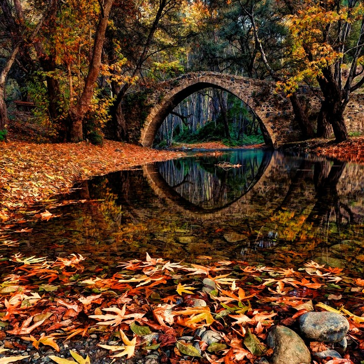 Bridge