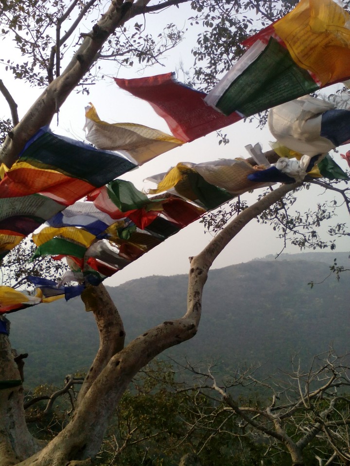 Colourful Buddhist flags