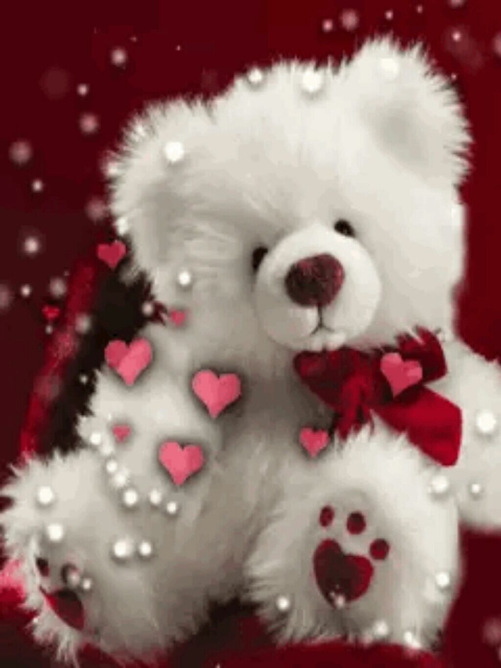 bear