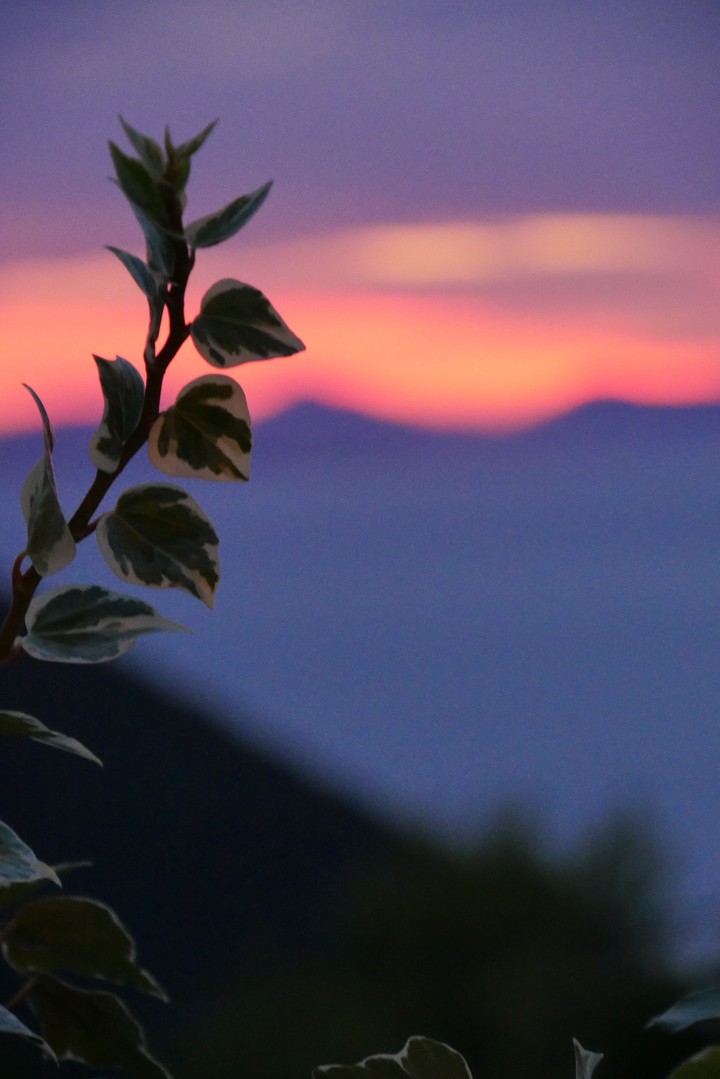 Background bokeh