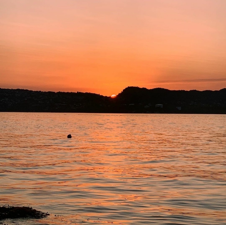 sunrise