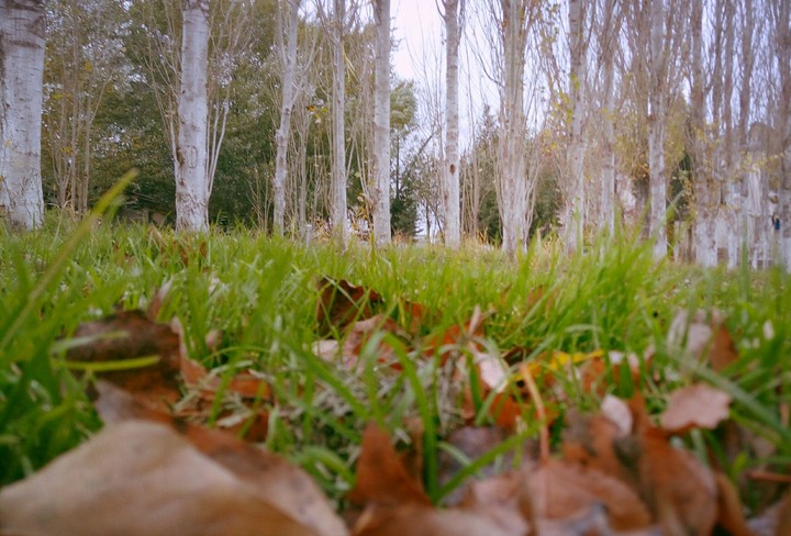 Autumn