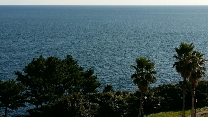 Deep blue sea