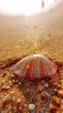 Sand