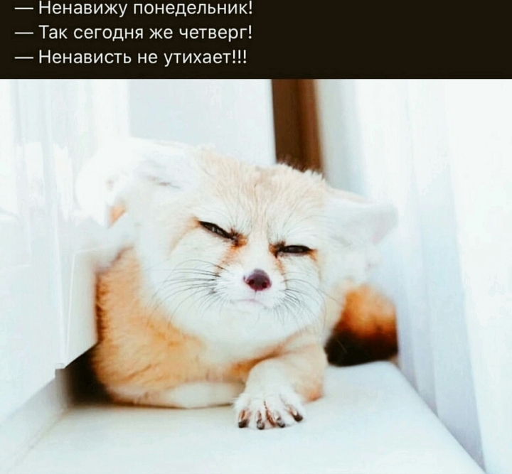 вот вам мем