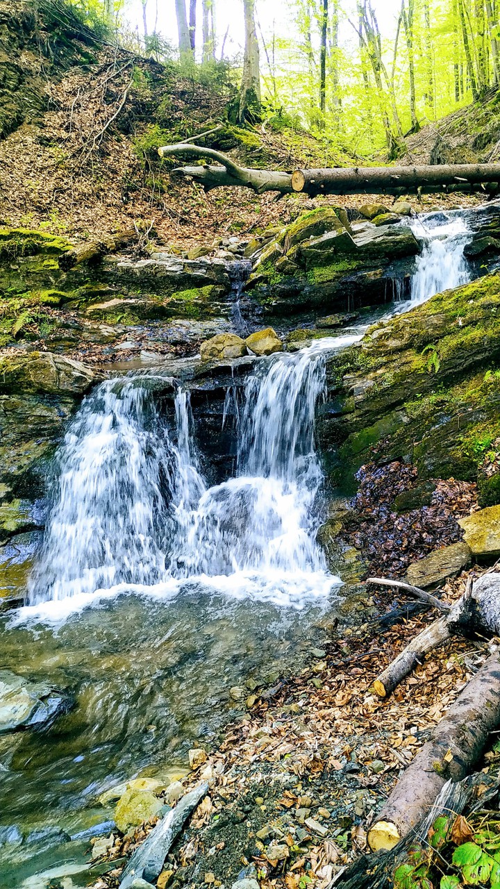 #nature