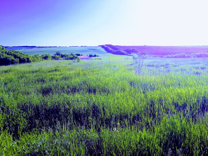 open spaces