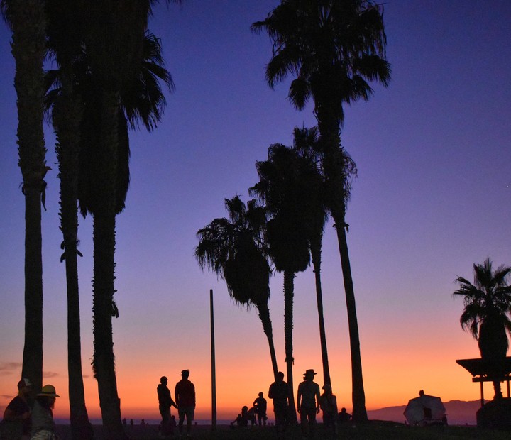 venice beach