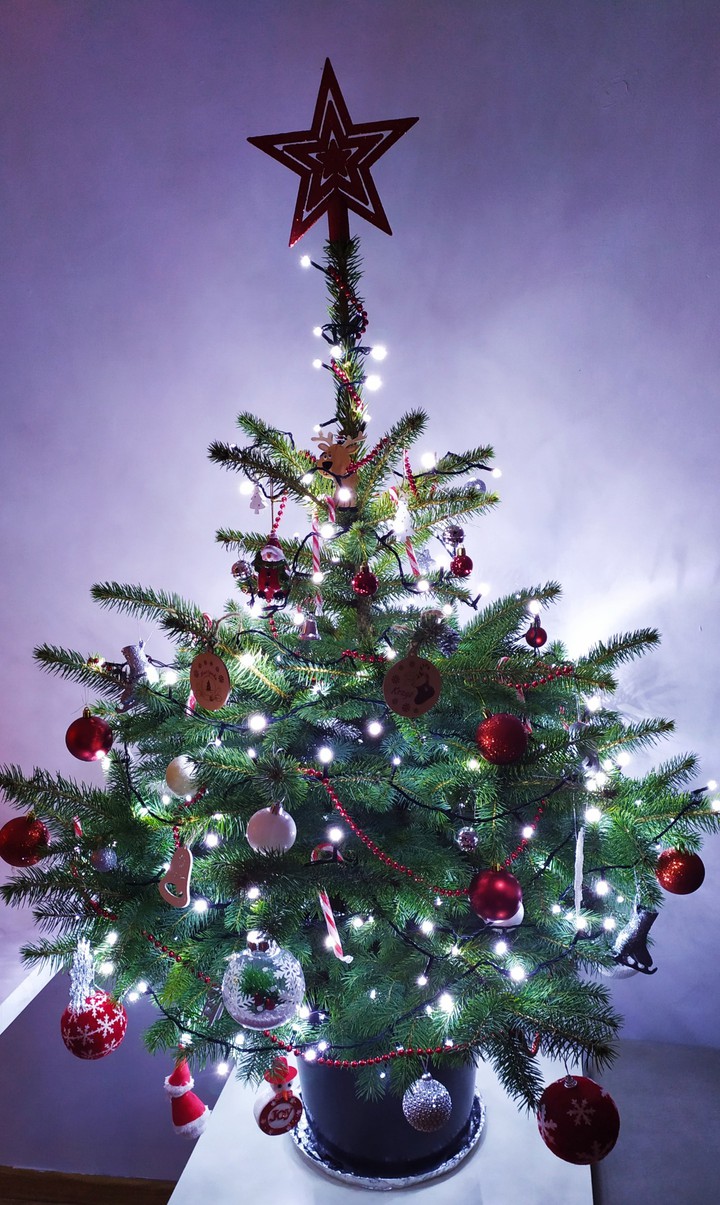 choinka christmas tree