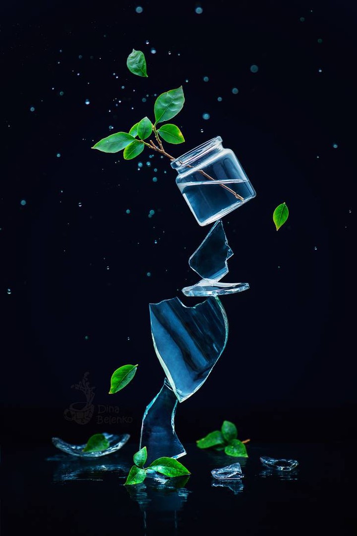 Fragile leaves