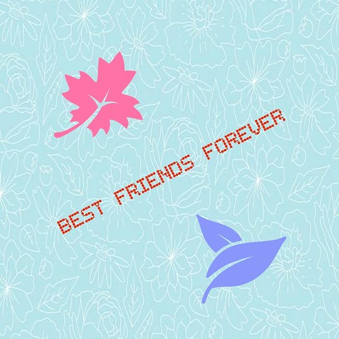 my Creation