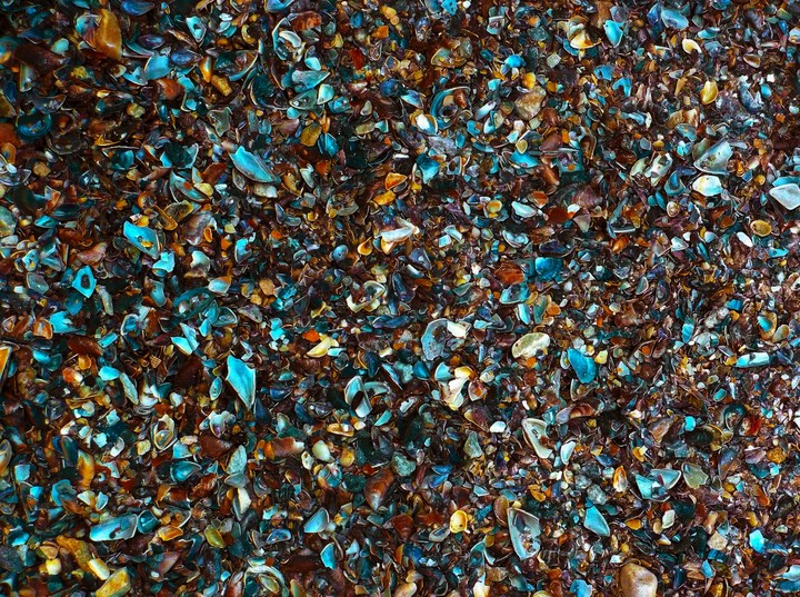 shells