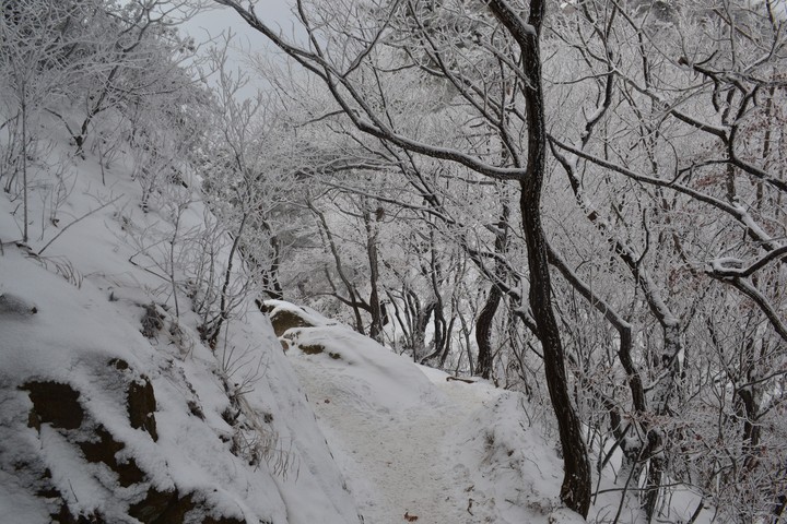 관악산의겨울이미지