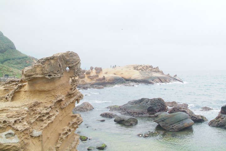 Scenics