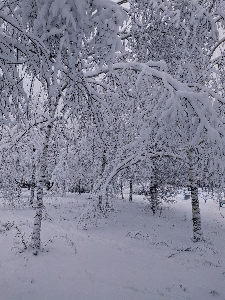 winter