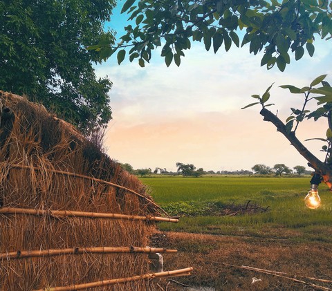 Indian Village !