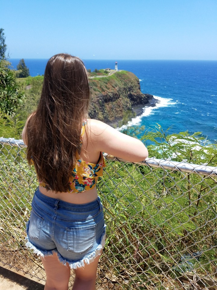 Whale Watching