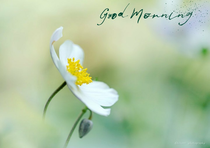 Good Morning