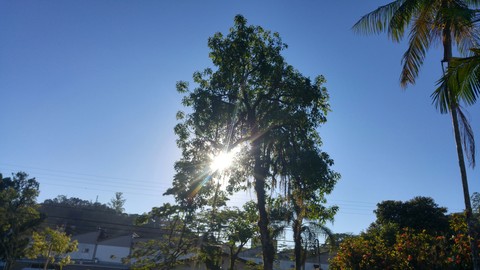 Sol