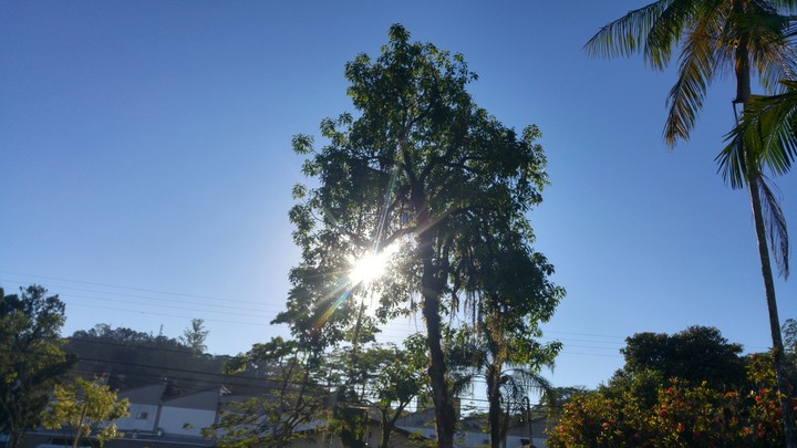 Sol