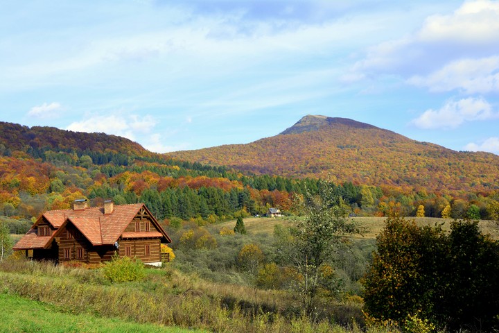 Autumn