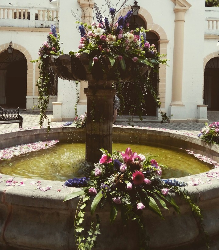 fuente